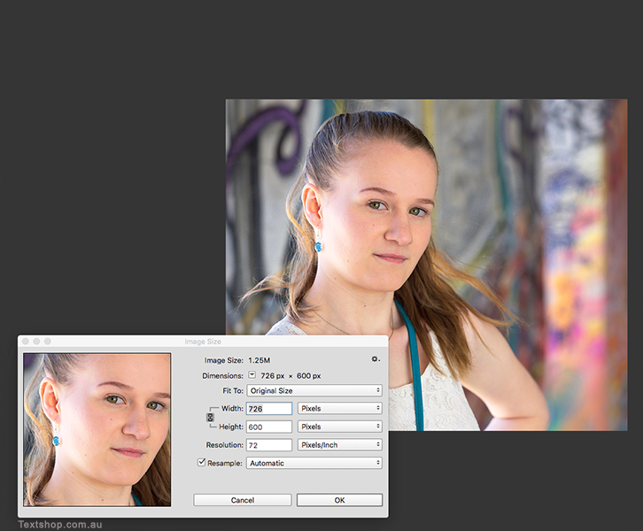Photograph in Photoshop showing how to resize a photo for a website.