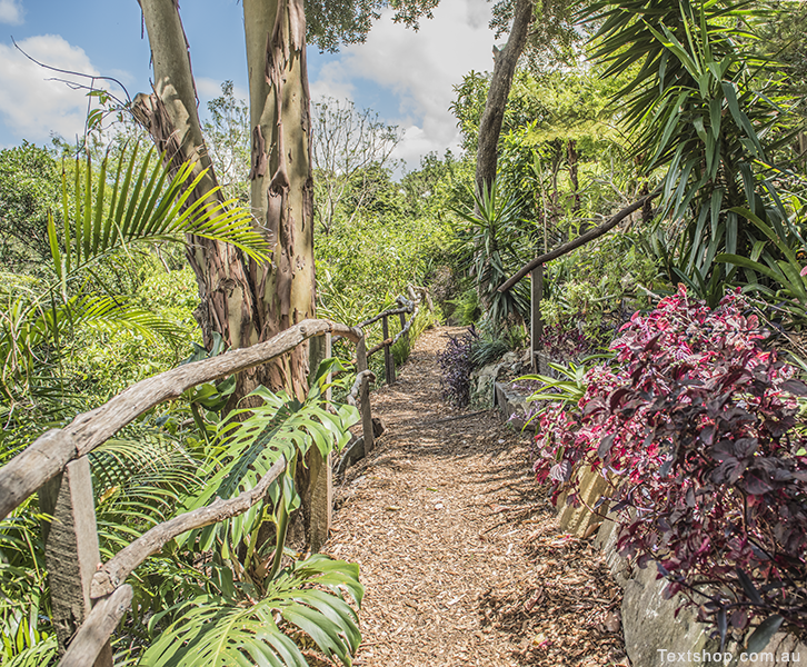 Winding zig zag pathways are framed by bush timber balustrading.