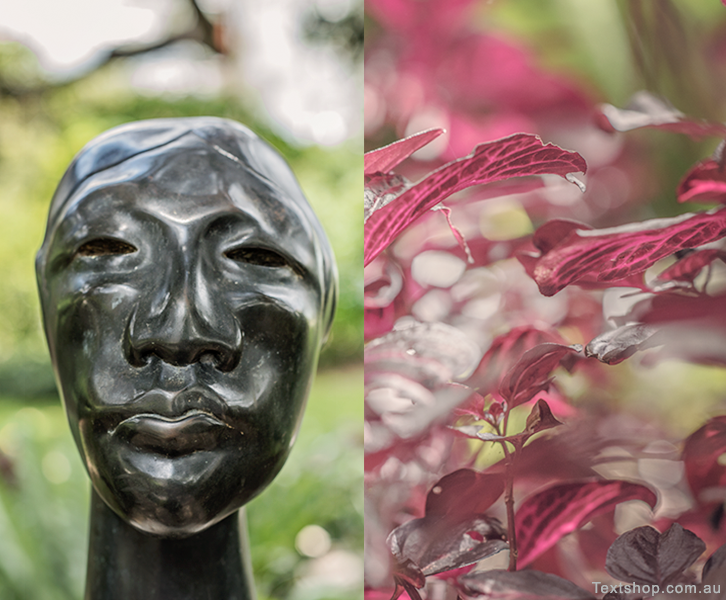 Joel Elenburg's Head sculpture (left) is placed under the Moreton Bay Fig tree, and iresine (bloodleaf) makes a colourful addition to the garden.