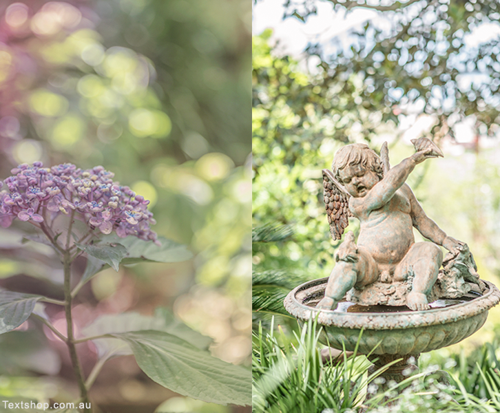 The late artist Margaret Ollie's fountain relocated from her Paddington terrace house sits under the Moreton Bay fig tree.