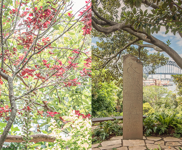 Ian Marr's upright sculpture (right) featuring Van Morrison's lyrics from Sweet Thing greets visitors to the garden.